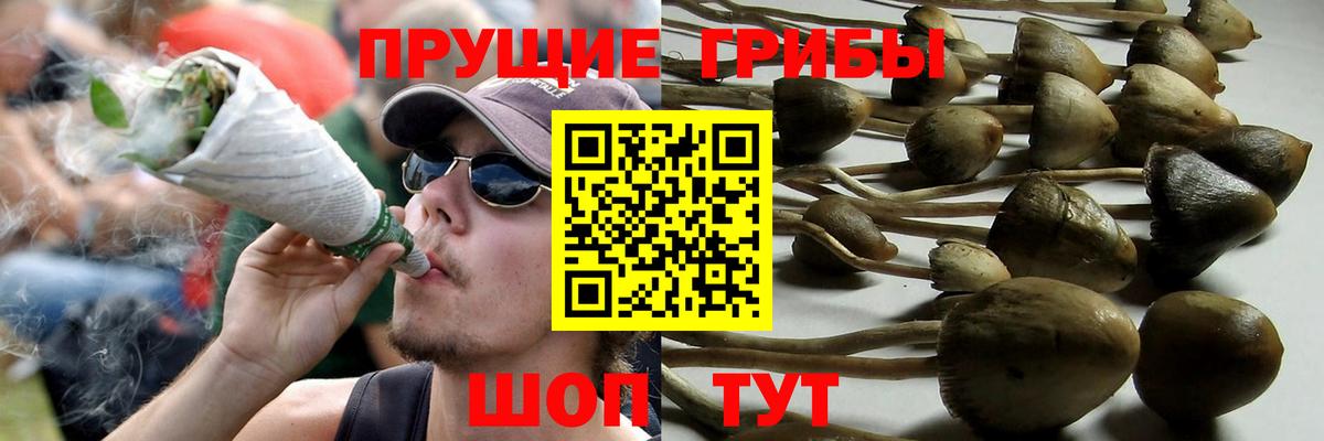 хочу наркоту  Псилоцибиновые грибы ЛСД  Вход с VPN  Жуковский 